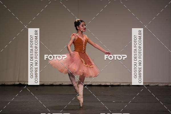 Buy your photos of the eventFESTIVAL LIVRE CAPZIO SUZANO (SBADO) on Fotop