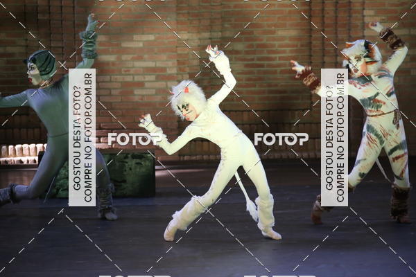 Buy your photos of the eventVI TFD Campos do Jordo on Fotop