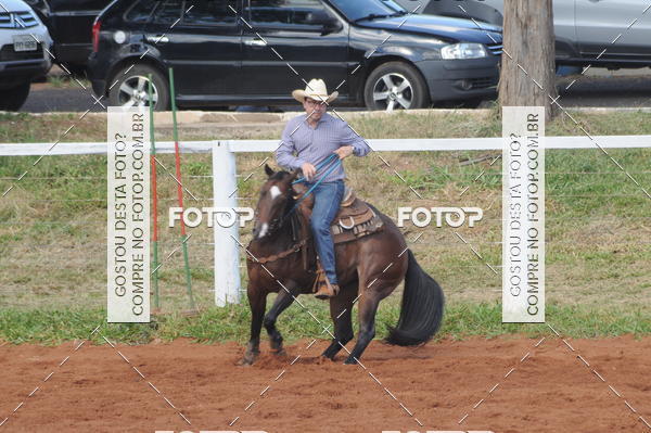 Compra tus fotos del eventoCAMPEONATO ACC TEAM PENNING SEGUNDA ETAPA En Fotop