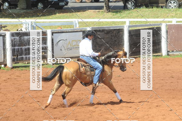 Achetez vos photos de l'vnementCAMPEONATO ACC TEAM PENNING SEGUNDA ETAPA sur Fotop