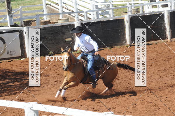 Compra tus fotos del eventoCAMPEONATO ACC TEAM PENNING SEGUNDA ETAPA En Fotop