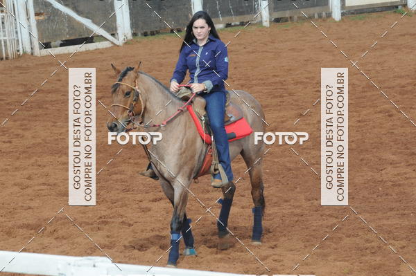 Buy your photos of the eventCAMPEONATO ACC TEAM PENNING SEGUNDA ETAPA on Fotop