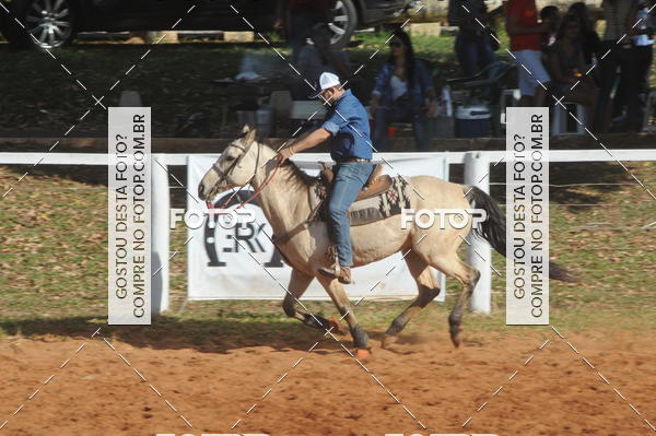 Buy your photos of the eventTEAM PENNING  GRANDE FINAL CAMARU on Fotop