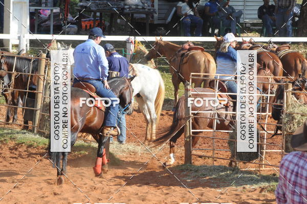 Buy your photos of the eventTEAM PENNING  GRANDE FINAL CAMARU on Fotop