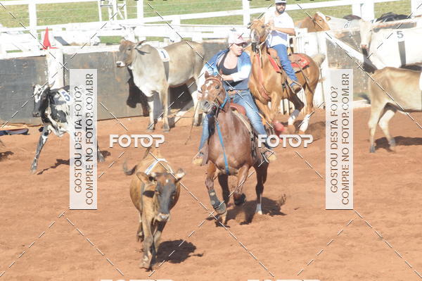 Buy your photos of the eventTEAM PENNING  GRANDE FINAL CAMARU on Fotop