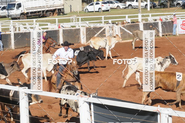 Buy your photos of the eventTEAM PENNING  GRANDE FINAL CAMARU on Fotop