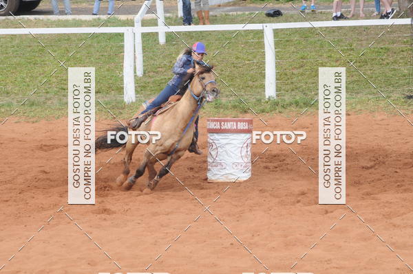 Buy your photos of the event3 TAMBORES ETAPA FINAL CAMARU on Fotop