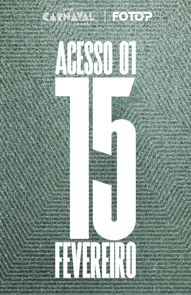 Carnaval de S�o Paulo - 15/2 