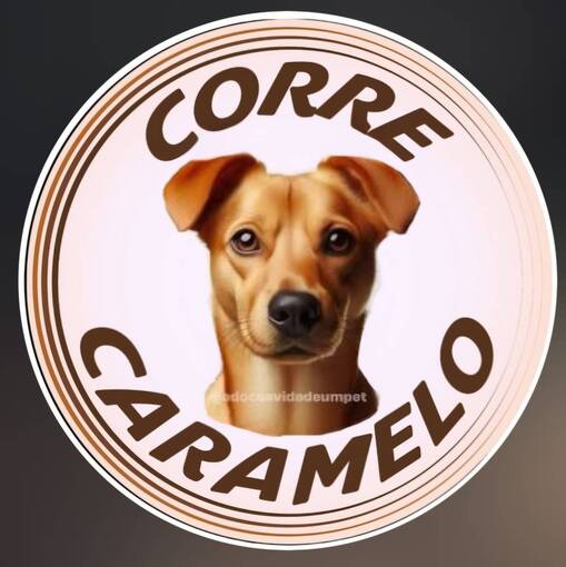 Meus Treinos   -  Corre Caramelo on Fotop